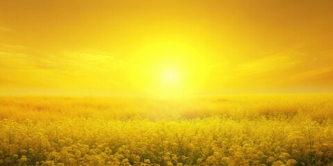 Obraz premium Soft Light Yellow Background Ideal for Creative Projects, Websites, Presentations, and Designs