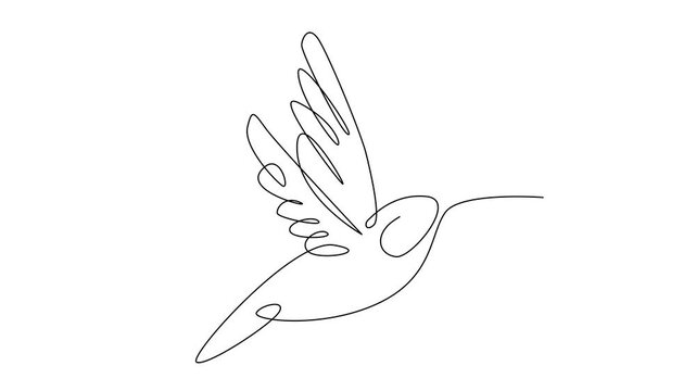 hummingbird continuous line illustration