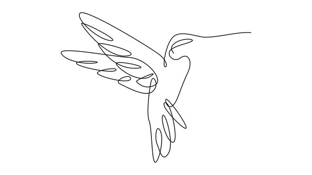 hummingbird continuous line illustration