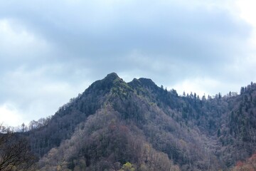 Tennessee mountain trees sky autumn