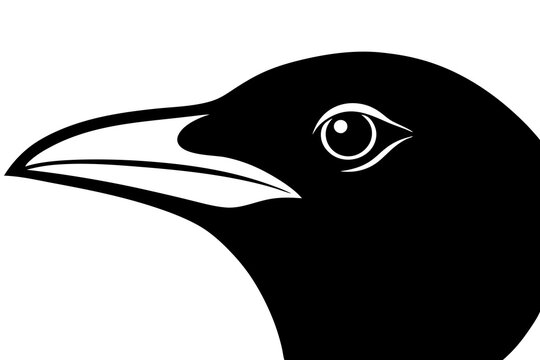 recommend clip art: magpie head  silhouette  vector illustration