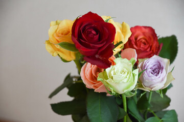 カラフルなばら