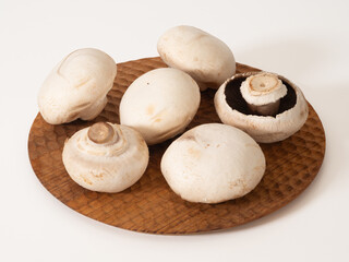 大きなホワイトマッシュルーム