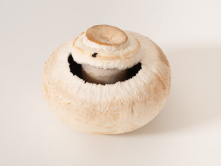 ホワイトマッシュルームの軸