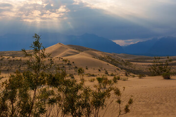 Golden desert dunes illuminated by sunbeams under a dramatic sky