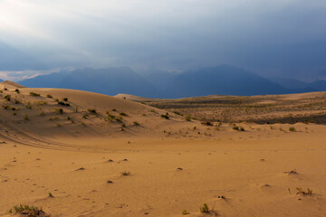 Expansive desert dunes under a moody cloudy sky