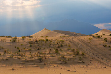 Sunbeams over desert dunes with tire tracks