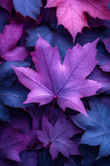 Purple maple leaves for autumn social media vertical background campaign