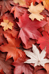 Fototapeta premium Red maple leaves for autumn social media vertical background campaign