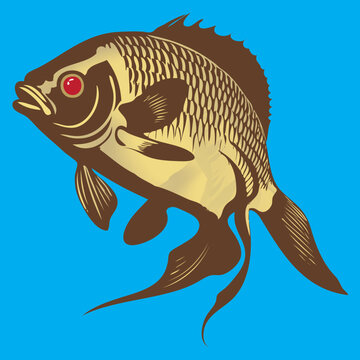 recommend clip art: Large river fish