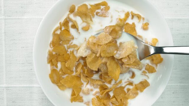 Close up of white bowl with yellow cereal and milk prepare for eating breakfast. Top down aerial view of taking spoonful of cornflake and grain in milk. Macrography. Healthy food concept. Pabulum.