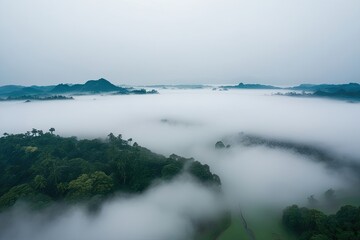 Obraz premium Serene Aerial View of Misty Tropical Valley Surrounded by Tranquil Foggy Landscape