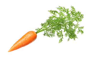 Fresh ripe carrot with green leaves isolated on white