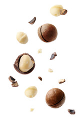 Macadamia nuts and crushed shells in air on white background