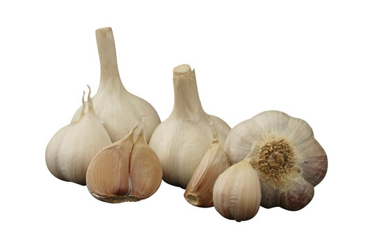 group of garlic isolated