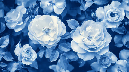 Fototapeta premium Landscape - traditional cyanotype roses petal flower pattern and background. Cyanotype. Illustration