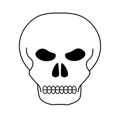 skull and crossbones icon
