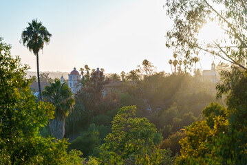 The sun shines through trees and buildings in the background