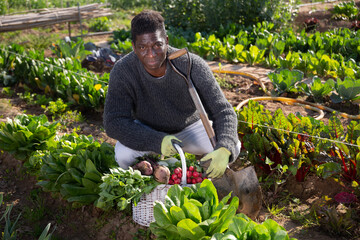 Portrait of a hardworking African american man squatting on the garden beds vegetable garden with a...