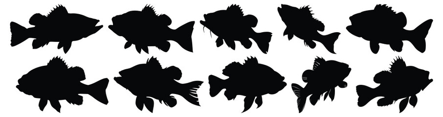 Fish silhouettes set, aquatic pack of vector silhouette design, isolated background