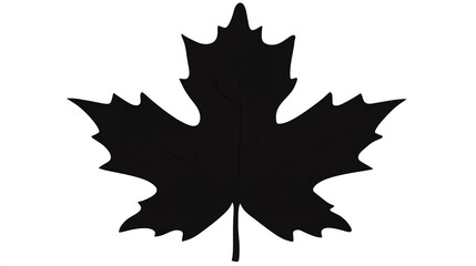 An elegant maple leaf silhouette vector art illustration, capturing the intricate shape and details of the leaf. The design features a bold black outline against a transparent background, 