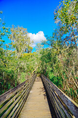 Fototapeta premium The landscape of Hillsborough river and lettuce park at Tampa, Florida
