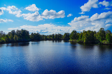 Obraz premium The landscape of Hillsborough river and lettuce park at Tampa, Florida