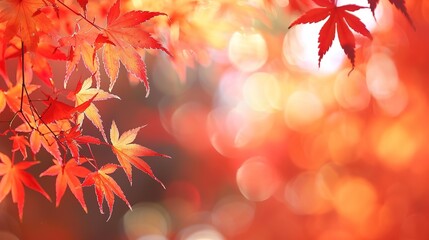 Gorgeous Autumn Red Maple Leaf Forest Background Picture: A Captivating Seasonal Display. Admire the Beauty and Tranquility.