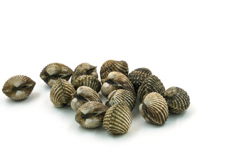 Fresh cockles on white background