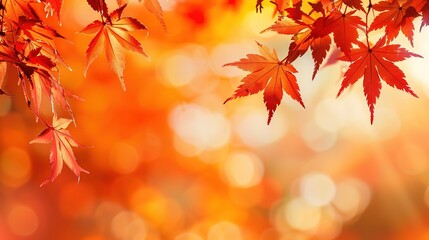 Fototapeta premium Gorgeous Autumn Red Maple Leaf Forest Background Picture: A Captivating Seasonal Display. Admire the Beauty and Tranquility.
