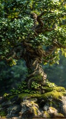 Fototapeta premium Ancient Tree With Twisted Branches and Lush Green Foliage