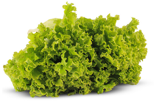 Letuce, Green food Salad Dresses isolated