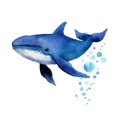 Fototapeta premium Watercolor painting of a whale blowing bubbles underwater, on isolated white background