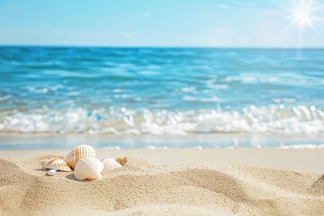Seashells on a sandy beach