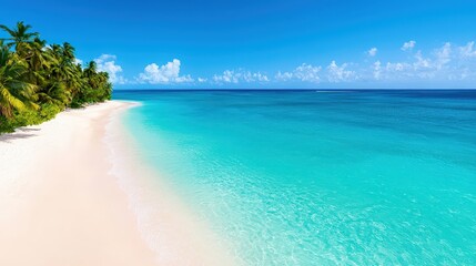Fototapeta premium Tropical Beach Paradise White Sand Turquoise Water Palm Trees Caribbean Vacation