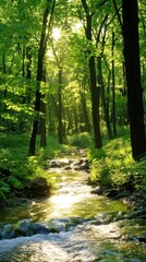 A tranquil forest glows with sunlight filtering through trees and a peaceful stream nearby