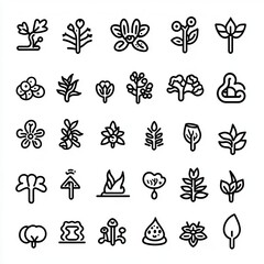 Obraz premium A collection of unique floral and botanical line icons, perfect for design projects and nature-themed illustrations.