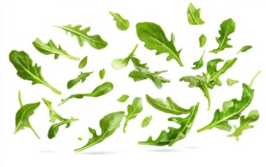 Fresh Arugula Leaves Flying in the Air Generative AI