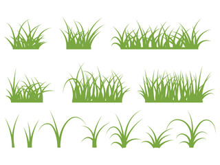 Obraz premium Grass collection, green leaf, nature land ecosystem