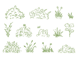 Set of bush, grass. Hand drawn green bush blossom