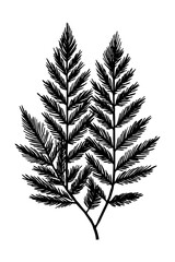 Naklejka premium Leaves . Black and white botanical pattern. For use in graphics, materials. Abstract plant shapes. Minimalist illustration for printing on wall decorations.