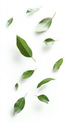 Floating Green Leaves on White Background Generative AI