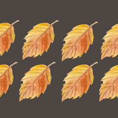 Asian oak leaf in orange shades hand painted watercolor seamless border on contrast background. High quality art in simple style for woodland designs, cards, textile, packages, textile, stationary