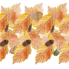 Autumn leafs in orange shades with alder cones and acorns hand painted watercolor seamless border isolated on white. High quality art in for woodland designs, textile, packages, textile, stationary