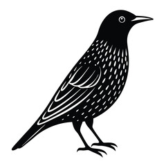 European starling icon - Transparent Background Clipart