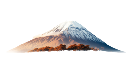 Majestic Mountain Peak with Snow and Autumn Trees