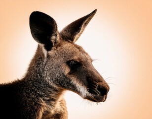 Fototapeta premium Detailed side profile of a kangaroo, highlighting its textured fur, large ears, and sharp features against a soft gradient background.