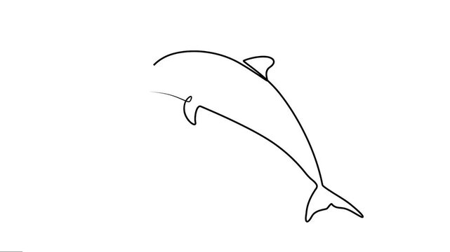The dolphin Continuous line art Animation. Animated Video of water animals. Motion Graphics work. 