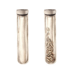 Glass long empty flask with lid and filled flask with roasted aromatic coffee beans. Watercolor set of isolated hand-drawn drawings. Suitable for decorating shops, cafes, banners, postcards