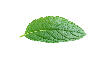 Obraz premium Mint leaf close up, created with Generative AI technology, PNG